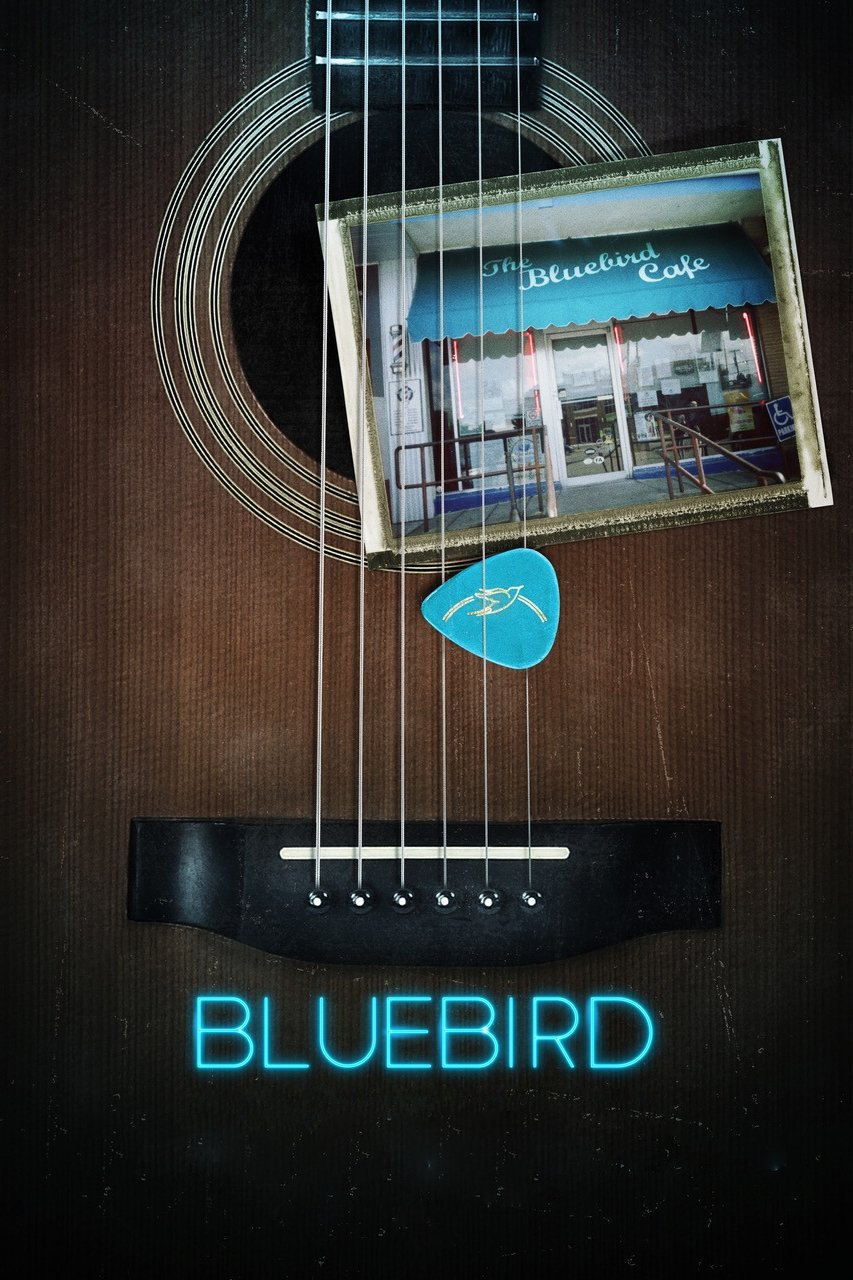Постер Bluebird
